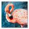 Designart - Pink Flamingos In Blue Water II - Farmhouse Canvas Wall Art Print